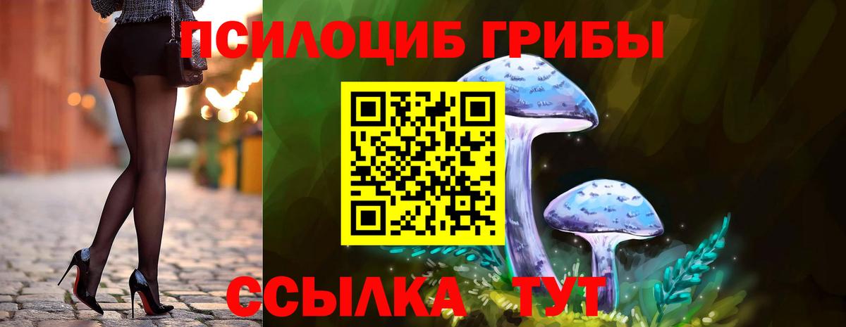 Кировск  Псилоцибиновые грибы прущие грибы  Вход с VPN 