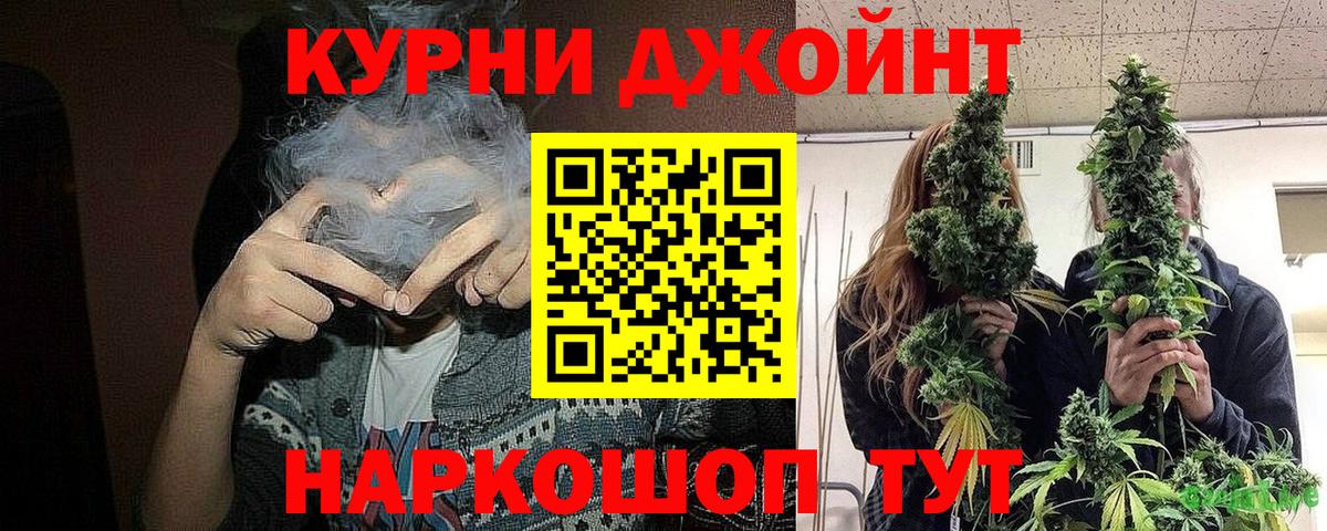 МАРИХУАНА планчик  МАРИХУАНА сатива  Кировск 